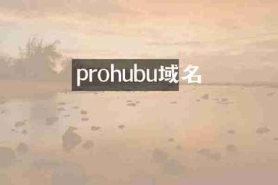 prohubu域名