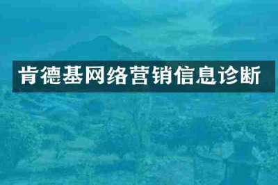 肯德基网络营销信息诊断