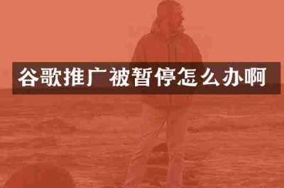 谷歌推广被暂停怎么办啊