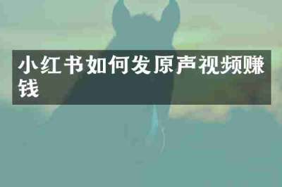 小红书如何发原声视频赚钱