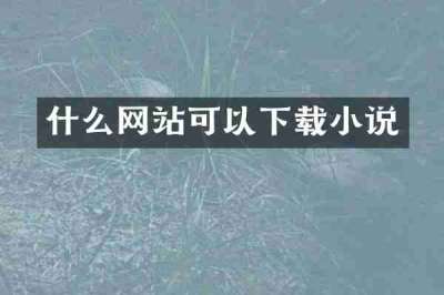 什么网站可以下载小说