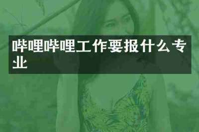 哔哩哔哩工作要报什么专业