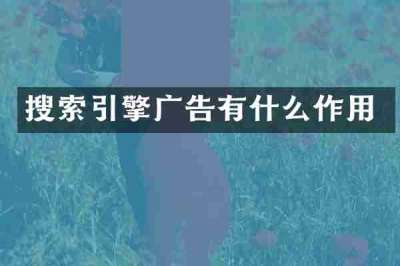 搜索引擎广告有什么作用