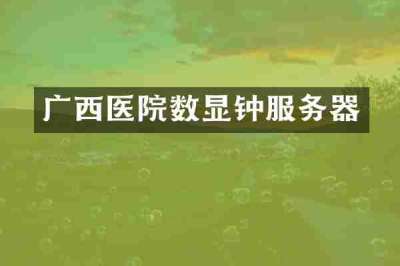 广西医院数显钟服务器