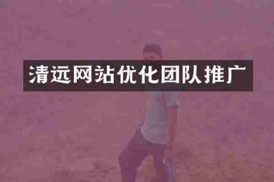 清远网站优化团队推广