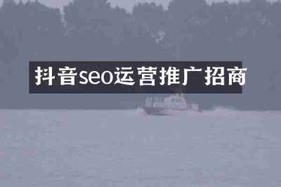 抖音seo运营推广招商
