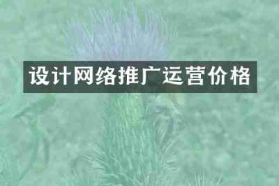设计网络推广运营价格