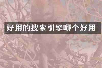 好用的搜索引擎哪个好用