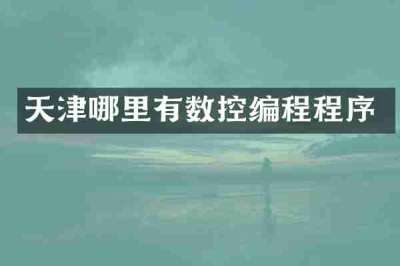 天津哪里有数控编程程序