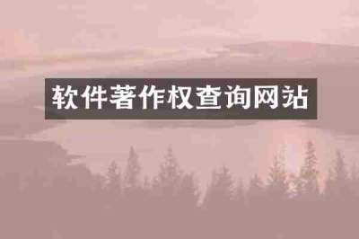 软件著作权查询网站