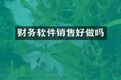 财务软件销售好做吗