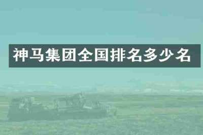 神马集团全国排名多少名