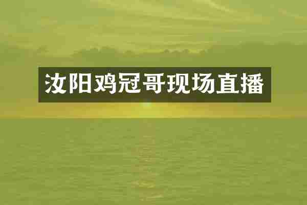 汝阳鸡冠哥现场直播