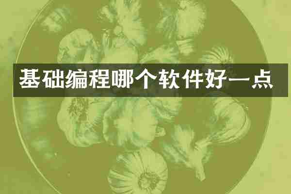 基础编程哪个软件好一点