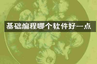 基础编程哪个软件好一点