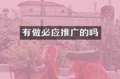 有做必应推广的吗