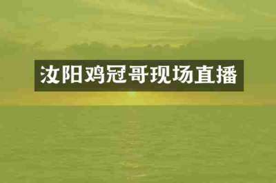 汝阳鸡冠哥现场直播