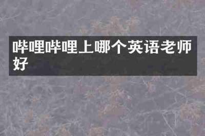 哔哩哔哩上哪个英语老师好