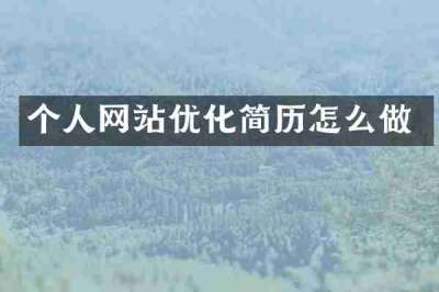 个人网站优化简历怎么做