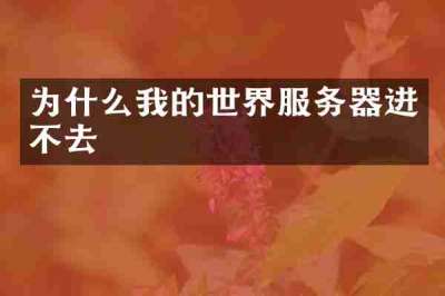 为什么我的世界服务器进不去