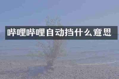 哔哩哔哩自动挡什么意思