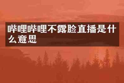 哔哩哔哩不露脸直播是什么意思