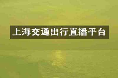 上海交通出行直播平台