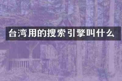 台湾用的搜索引擎叫什么