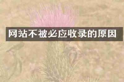 网站不被必应收录的原因