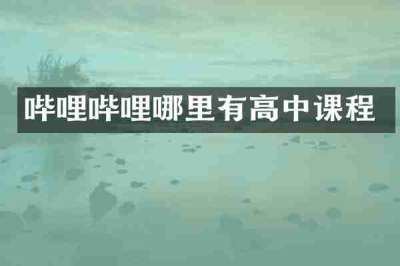 哔哩哔哩哪里有高中课程