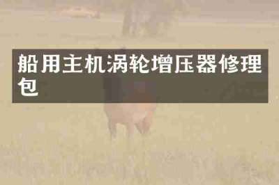 船用主机涡轮增压器修理包