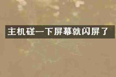 主机碰一下屏幕就闪屏了