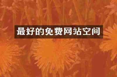 最好的免费网站空间