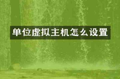 单位虚拟主机怎么设置