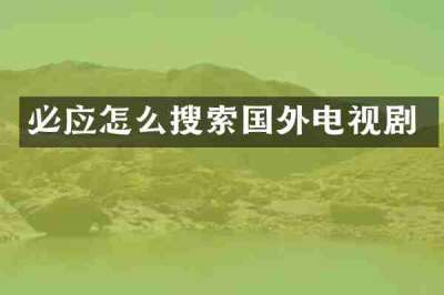 必应怎么搜索国外电视剧