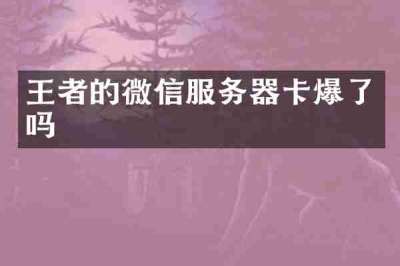 王者的微信服务器卡爆了吗