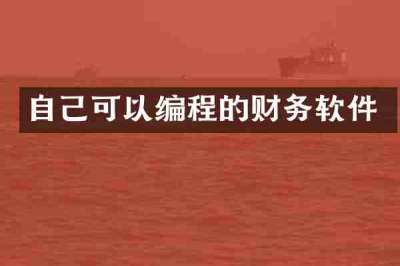 自己可以编程的财务软件