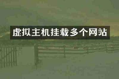 虚拟主机挂载多个网站