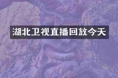 湖北卫视直播回放今天