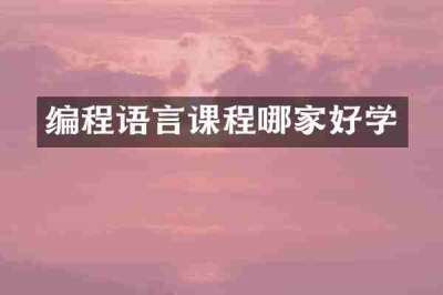 编程语言课程哪家好学