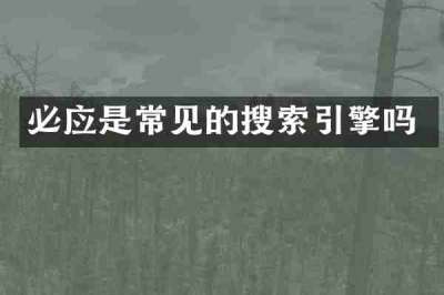 必应是常见的搜索引擎吗