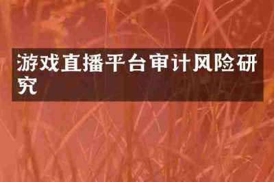 游戏直播平台审计风险研究