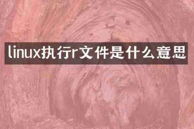 linux执行r文件是什么意思