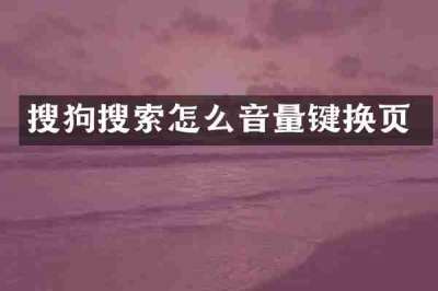 搜狗搜索怎么音量键换页