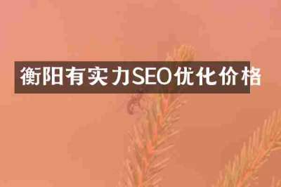 衡阳有实力SEO优化价格