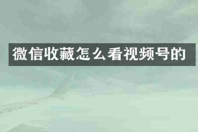 微信收藏怎么看视频号的