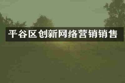 平谷区创新网络营销销售