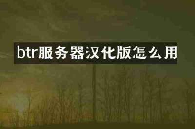 btr服务器汉化版怎么用