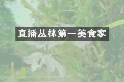 直播丛林第一美食家
