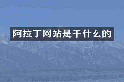 阿拉丁网站是干什么的